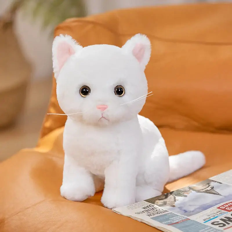 Peluche Chaton Blanc - Peluche Chaton Blanc